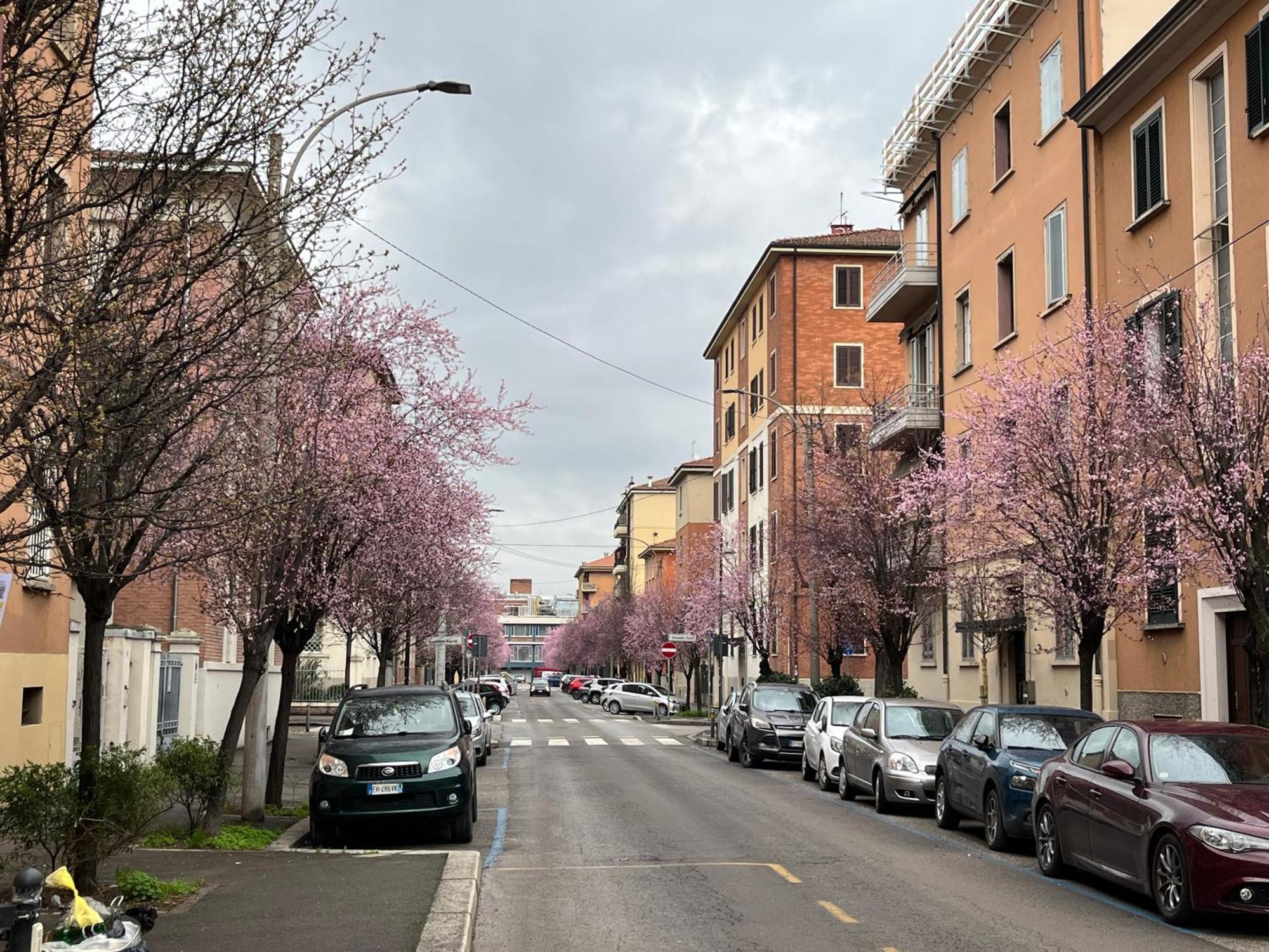 Appartement Casa Meli, Ampio Bilocale Nuovo à Bologne Extérieur photo